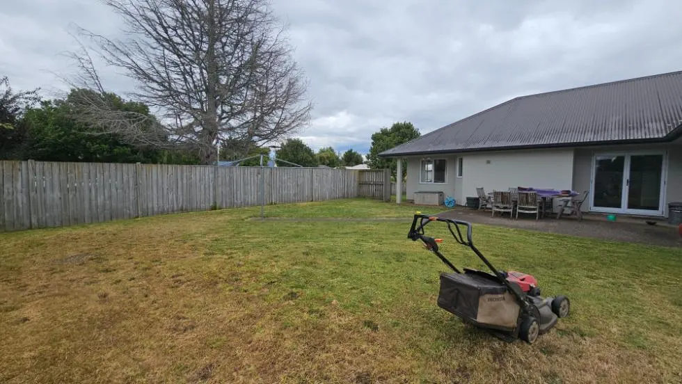 Mower on a large backyard lawn beside a house in Palmerston North