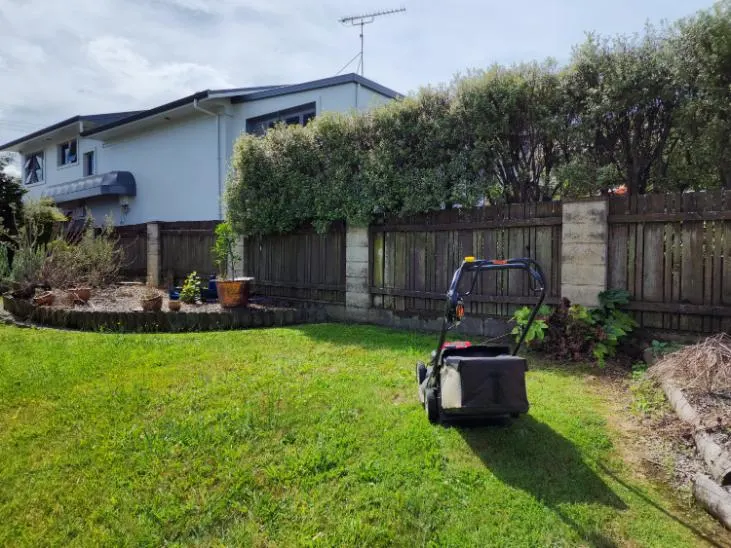 Freshly mown backyard lawn with a garden bed and fence in Palmerston North
