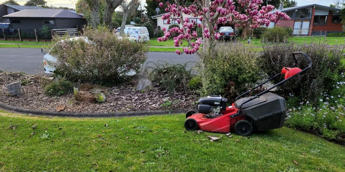 Grass Guardian mower on a freshly cut lawn beside a garden bed in Palmerston North