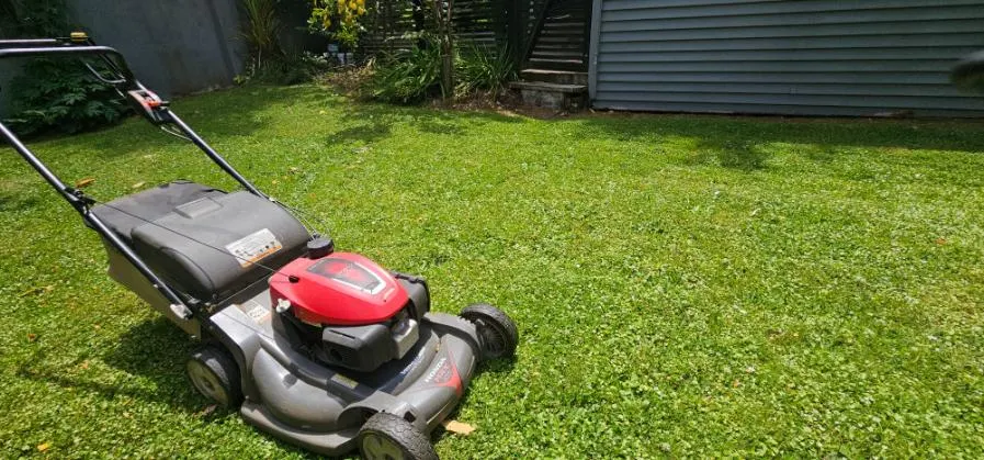Honda mower on a lush freshly mown lawn in Palmerston North